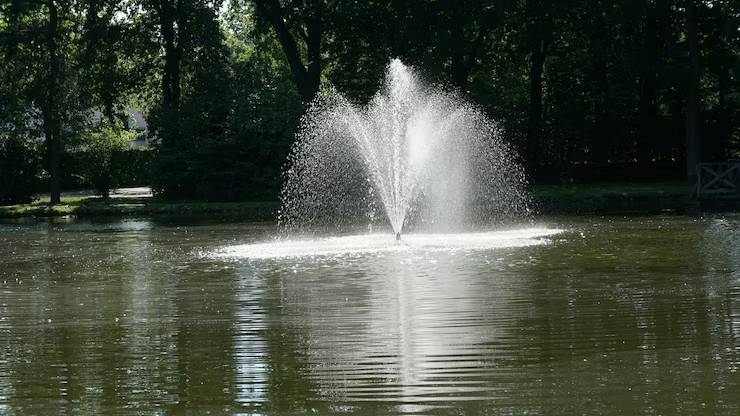 The Ultimate Guide to Keeping Your Pond Clean with the Right Fountain Pumps