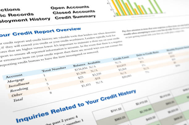 Decoding the Numbers: What Business Credit Bureaus Really Report on Your Business